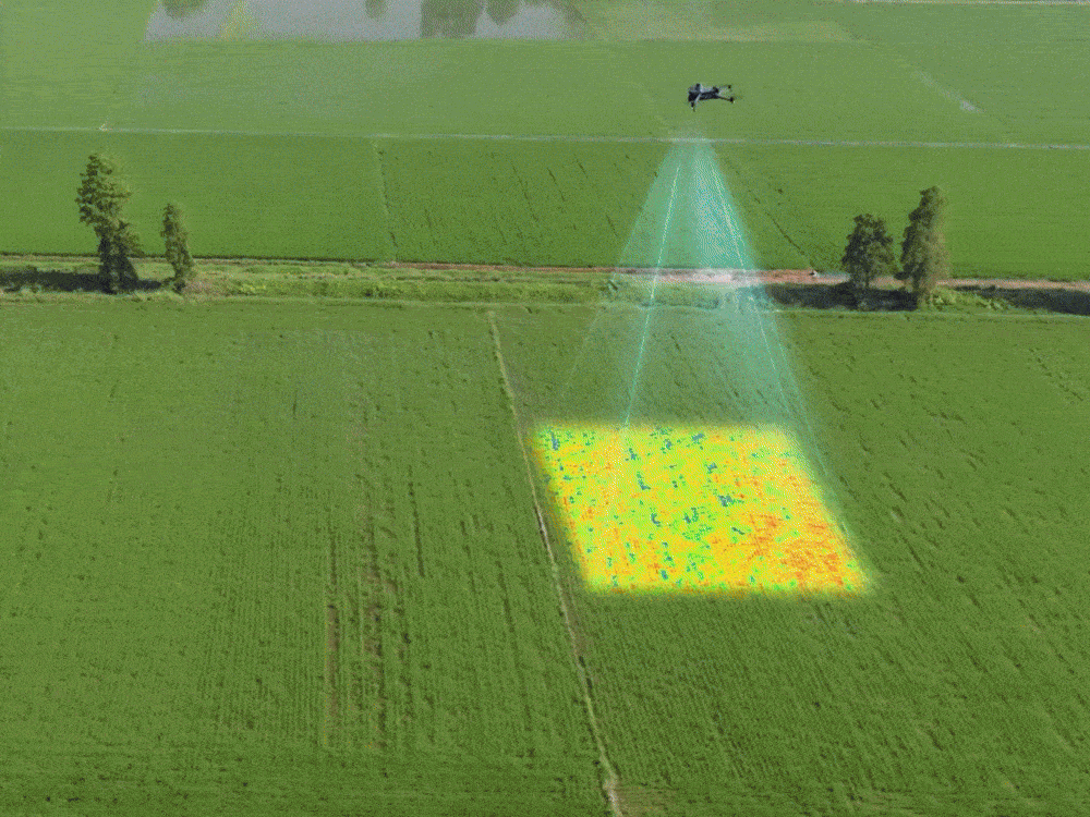 Карты индекса растительности 12f8e1fd-7aaf-471e-a8b6-11600ee9e65c.gif