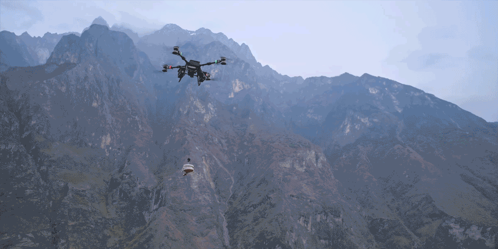 flycart-1.gif