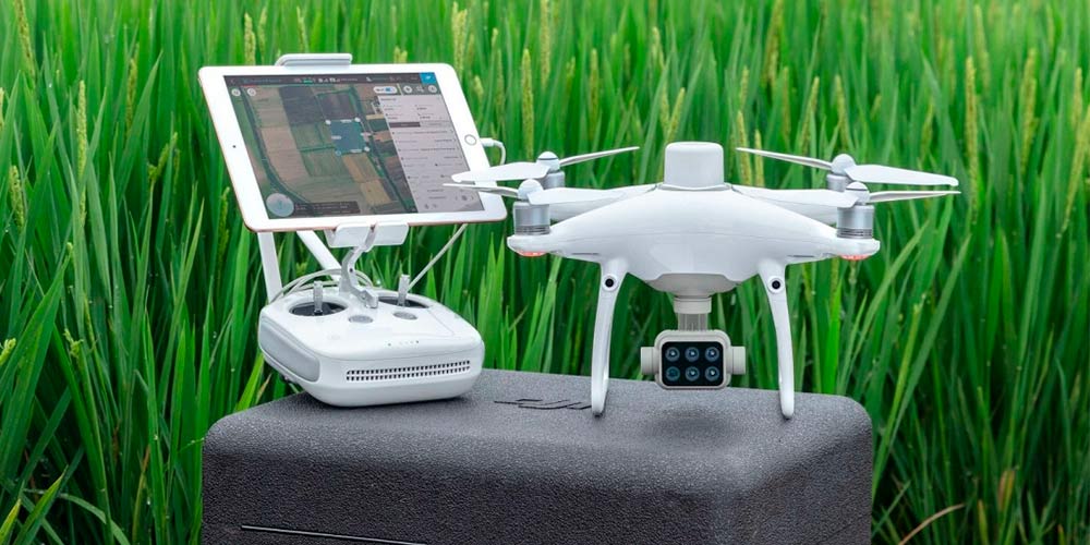 DJI-Phantom-4-Multispectral.-Информации-о-здоровье-растений.jpg