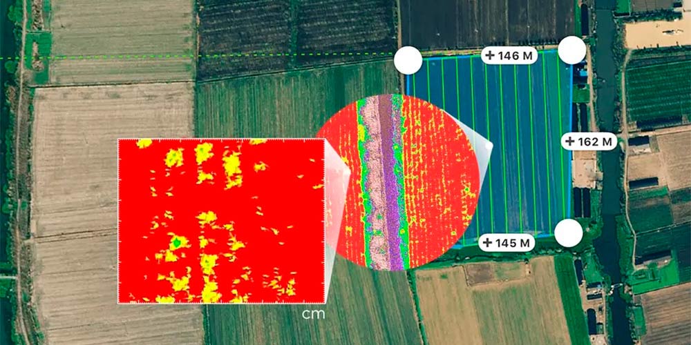 DJI-Phantom-4-Multispectral.Сантиметровая точность.jpg